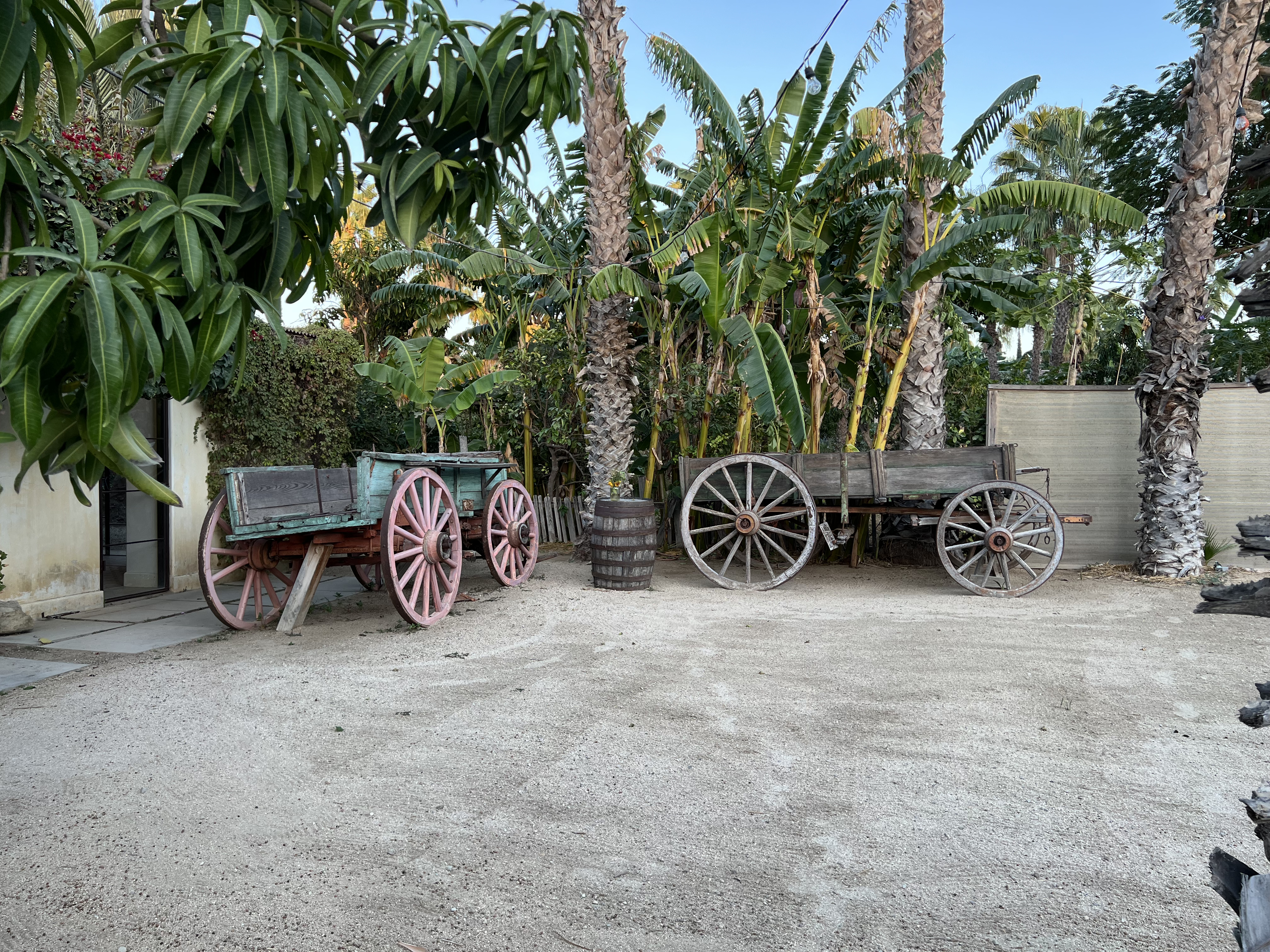 ./2024/13 - Cabo/IMG_4586.jpg